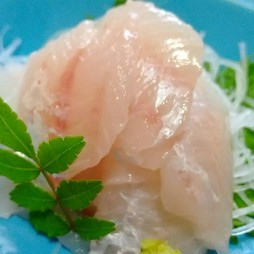  ノドグロ薄造り