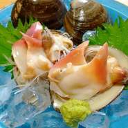  ホッキ貝お造り