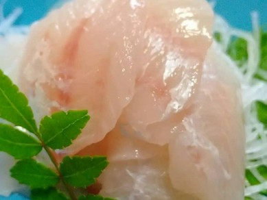  ノドグロ薄造り