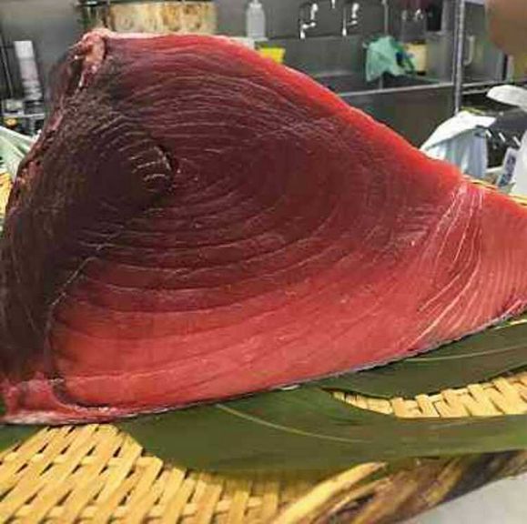 　天然本マグロ