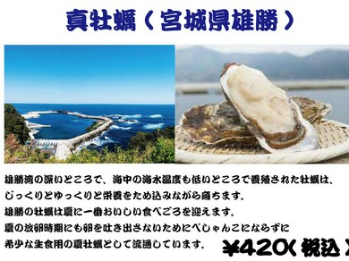 夏に一番美味しい時期を迎える希少な真牡蠣