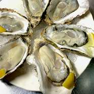 「糸島カキ」は、背振山系のきれいな森と川の恵みによっておいしく育ちます。身はプリッとし、塩分とクリーミーさが絶妙なバランスで掛け合わさっているのが特徴です。