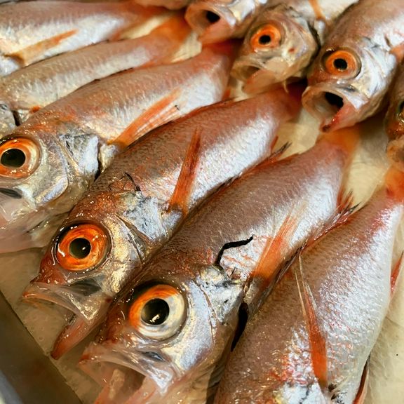 鮮魚