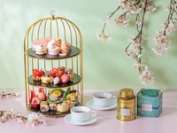 3-4月限定　春のやさしさを映した桜のスイーツが並ぶ、春のアフタヌーンティーです