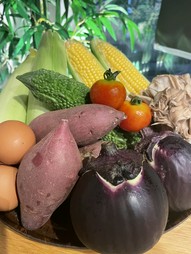 旬のお野菜