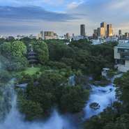 さながら森のような庭園は、東京とは思えないオアシスのような場所。思い出のページを彩る体験型アクティビティも用意。春の桜、初夏の蛍、滝音、紅葉、椿に雪景色と、四季折々にやさしい時間を過ごせます。