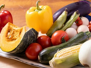 とれたての新鮮野菜