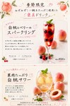 主役は、みずみずしく甘酸っぱい“旬のイチゴ”。果実の美味しさをぎゅっと閉じ込めた贅沢Drinkは、バレンタインシーズンにもぴったりの一杯です。この時期だけの特別な味わいを、ぜひお見逃しなく！