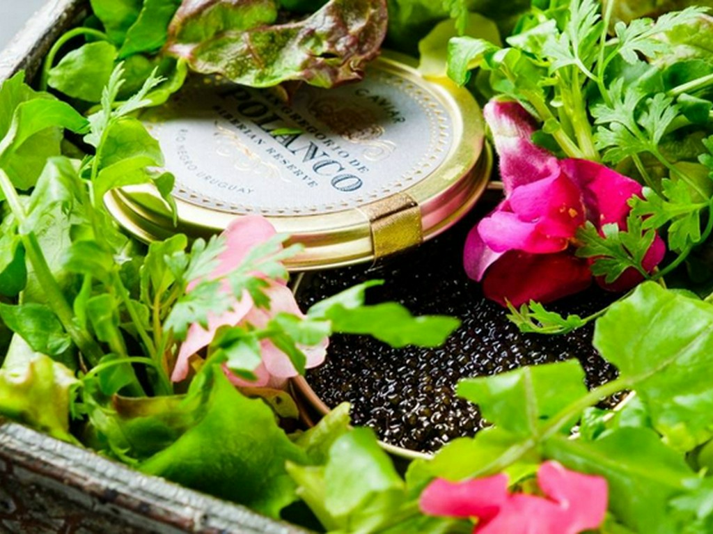 瓶詰めキャビアユッケ