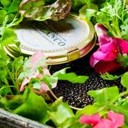 まるで庭園から宝物を探し出すかのようなプレゼンテーションが目を引くスペシャリテ「瓶詰めキャビアユッケ」
コースでもお楽しみいただけます