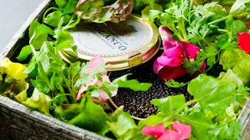 킨시쵸 야끼니쿠 재색겸비