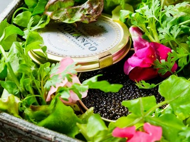 瓶詰めキャビアユッケ