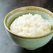 宮城県・登米市産「特別栽培ひとめぼれ」