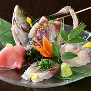 北海道や神奈川県三崎港から新鮮な魚を仕入れています。厳しい目利きで吟味した旬の魚は、ほどよい脂と柔らかい身が特長。口に入れた瞬間とろける旨みが広がります。