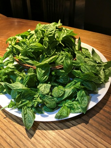自家栽培バジル