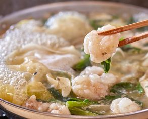 Hakata motsunabe Jirozakura