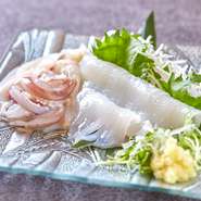 白イカ刺し身