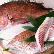 愛媛県、宇和島の鯛養殖でもとびっきりの鯛が徳弘水産さんが扱う「鯛一郎クン」！
養殖真鯛独特の臭みは、独自の餌と徹底した生育方法により排除。
脂がのり引き締まった身をしているため、天然真鯛にも劣りません。