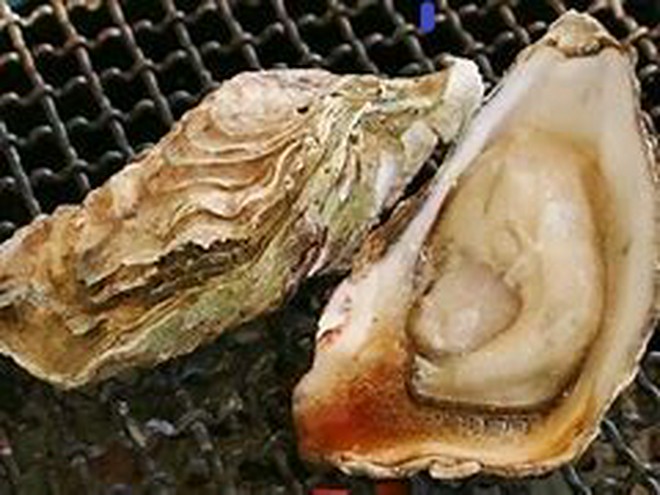 焼酎にこだわっている