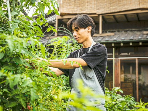 料理する直前に、シェフが自家菜園から直接収穫する