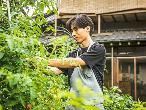 料理する直前に、シェフが自家菜園から直接収穫する