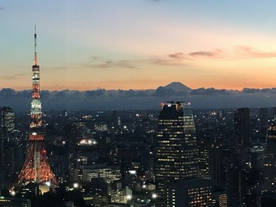 新橋 汐留で夜景のきれいなレストラン クリスマスディナー特集 ヒトサラ