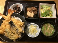 ナス天麩羅、肉小皿、小鉢、サラダ付き