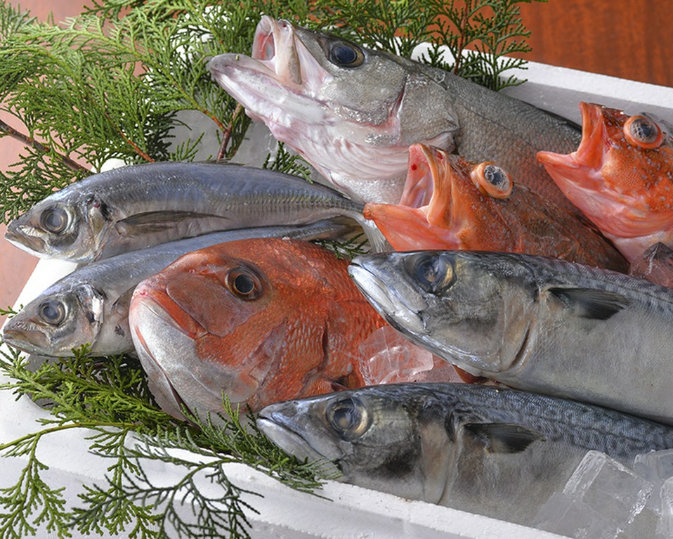 新鮮鮮魚も大人気！