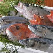 厳選した鮮魚が美味しい海鮮料理も大人気です！