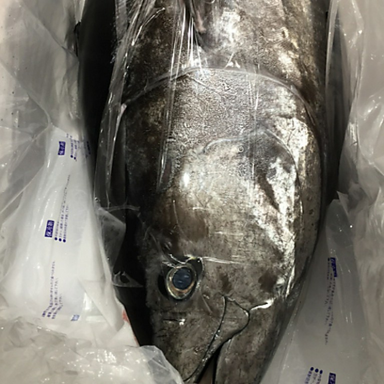 全国津々浦々の自慢の鮮魚