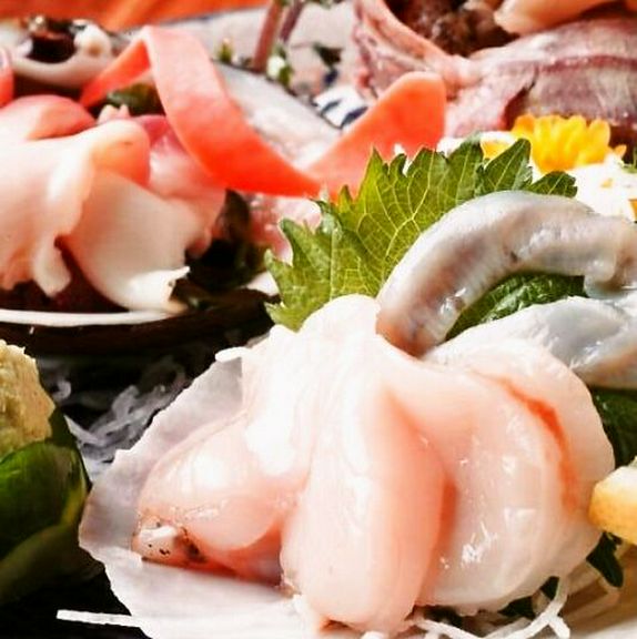 ほたて貝/つぶ貝