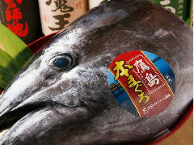 鷹島の本マグロをご提供