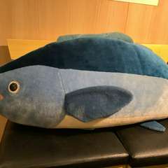 マグロくん