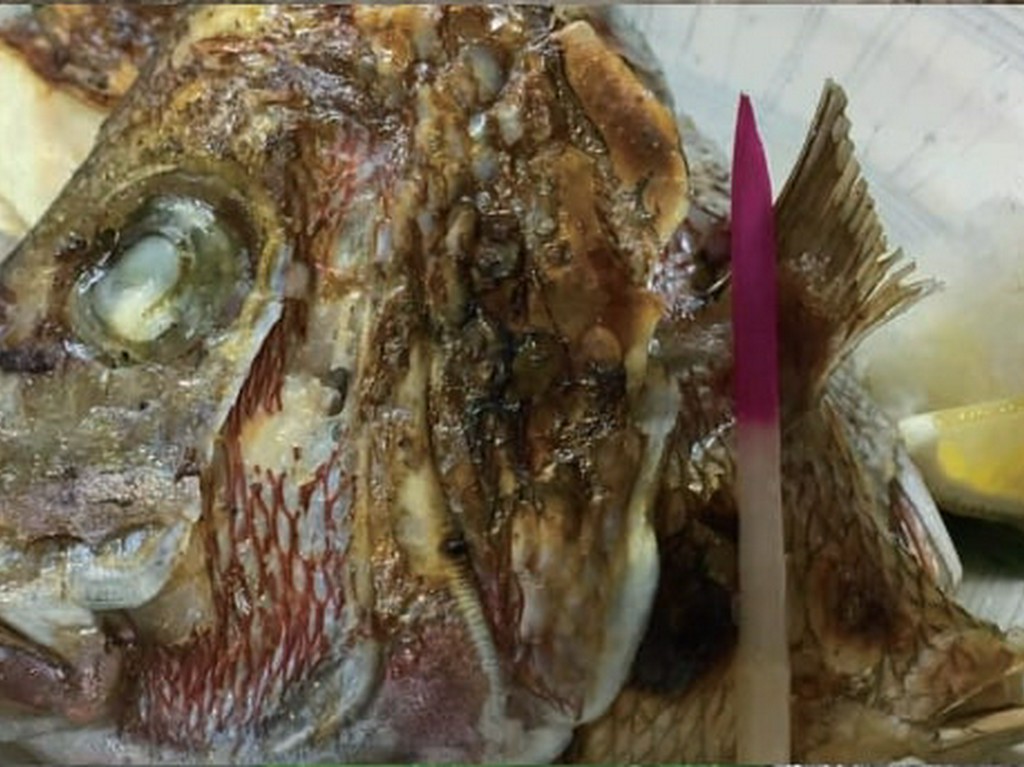 宇和島鯛一郎クンのかぶと焼き・煮