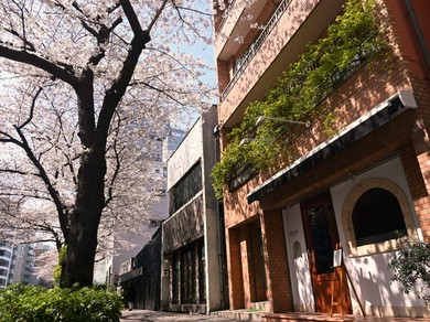 春には「お花見レストラン」となる寛ぎのフレンチ