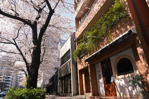 春には「桜が見えるレストラン」に