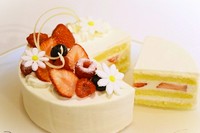 新鮮なフルーツで彩った特製のホールケーキ。コース料理への追加で承ります。ご希望の方は備考欄にてご連絡くださいませ。※フルーツやデザインは季節で変わります※3営業前までの要予約