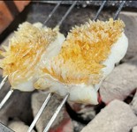 春先に多くの魚が子(たまご)を持ちます。
鯛の子(たいのたまご)を含め煮し信州の山菜と合わせた逸品です。