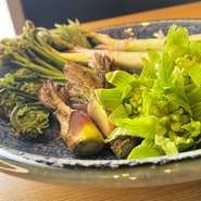 春を感じさせる旬の山菜。