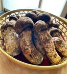 ほろ苦さとシャキシャキ感がたまらない癖になる美味しさです。