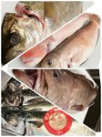 季節や仕入れ状況などで日々変わる新鮮なお魚に手当てし
美味しい！を提供致します。