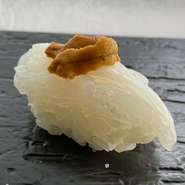 鮨 スミイカの握り