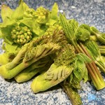旬が短いとされる春の味覚[生めかぶ]
出汁と酢で味付けした逸品。