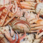 鰹出汁にカブをすりおろし、中には牡蠣と椎茸。
身体が暖まる逸品です。