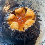 九州の【甘鯛】の鱗（うろこ）に高温の油をかけうろこを逆立て
炭火で軽く炙った逸品。