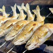 春の息吹を感じるひと皿。

山菜や春野菜、旬の魚介を丁寧に仕込み、
やさしく味を引き出しています。

その日ごとの“春”をお楽しみください。
