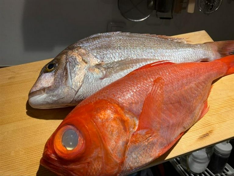 旬の鮮魚