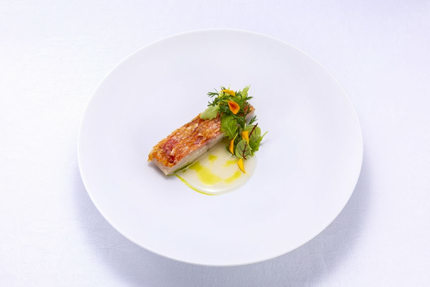 Degustazione(ディナーコース)