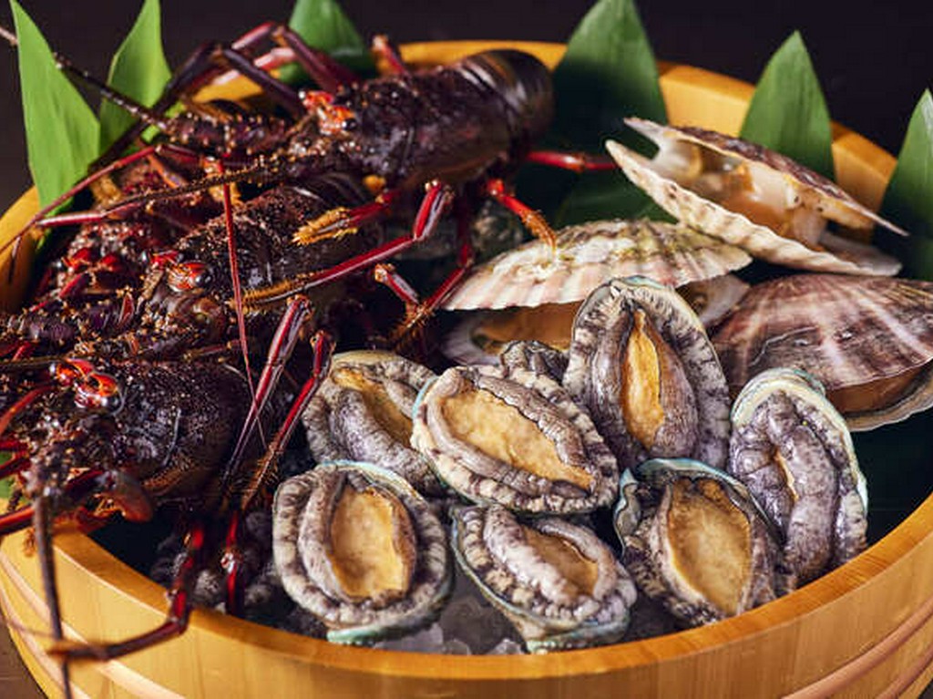 森本 極 コース