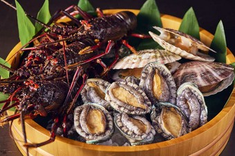 森本 極 コース